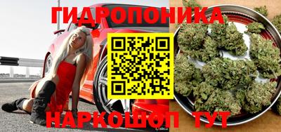 Альфа ПВП Жуковский