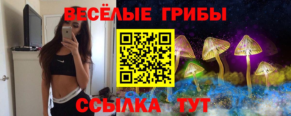 Ухта  Галлюциногенные грибы прущие грибы  Вход с VPN 